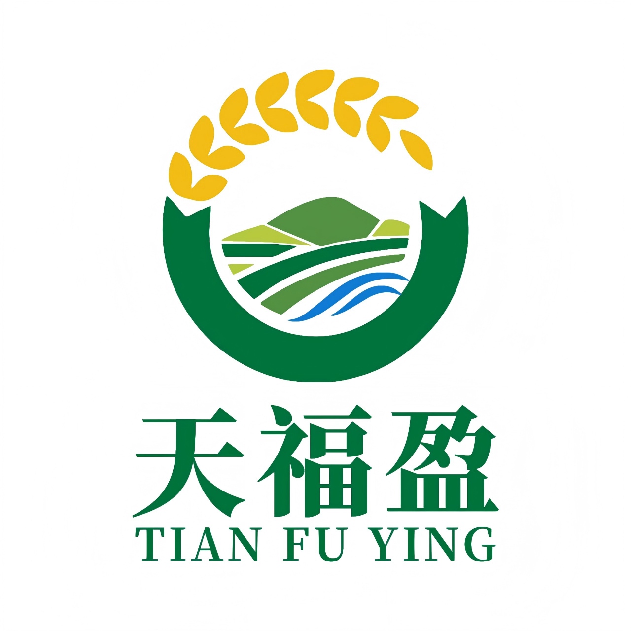 天福盈商标展示